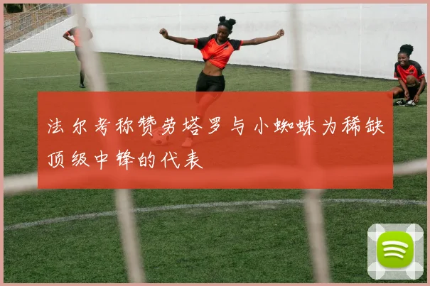 法尔考称赞劳塔罗与小蜘蛛为稀缺顶级中锋的代表