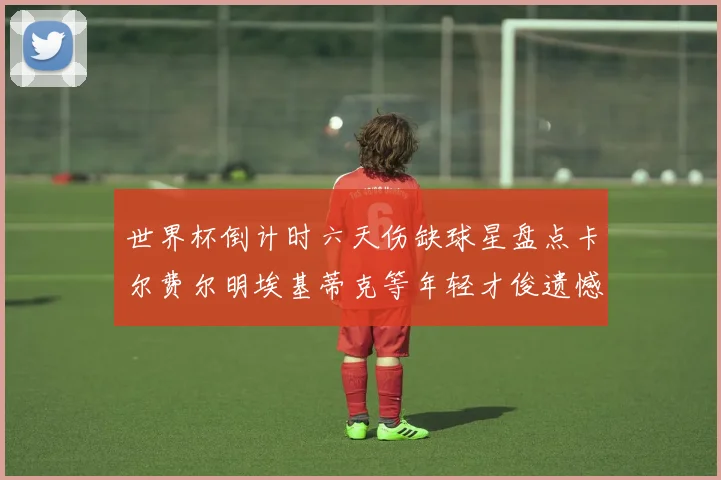 世界杯倒计时六天伤缺球星盘点卡尔费尔明埃基蒂克等年轻才俊遗憾缺席