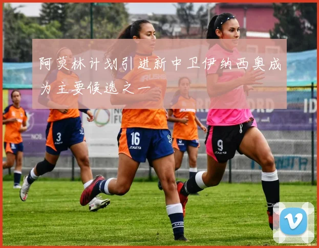 阿莫林计划引进新中卫伊纳西奥成为主要候选之一